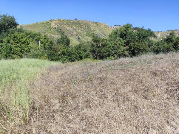 terreno agricolo in vendita ad Alviano