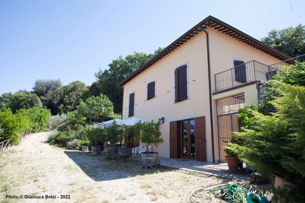 casa indipendente in vendita ad Alviano
