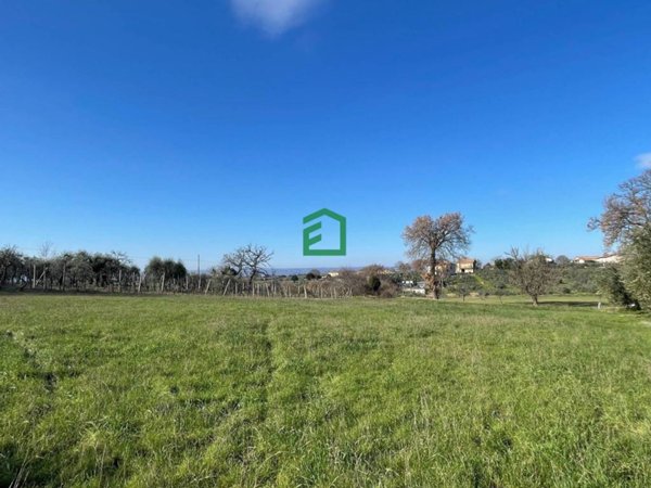 terreno agricolo in vendita ad Amelia
