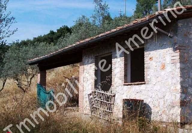 appartamento in vendita ad Amelia