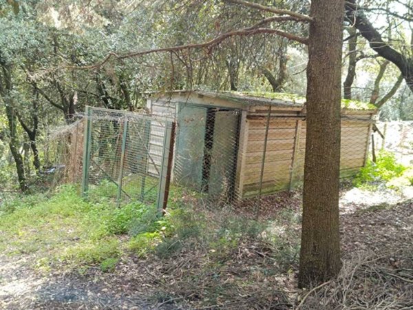 terreno agricolo in vendita ad Amelia