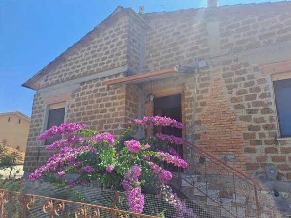 casa indipendente in vendita ad Amelia