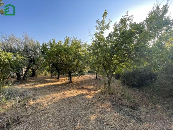 monolocale in vendita ad Amelia