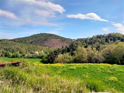 terreno agricolo in vendita ad Amelia