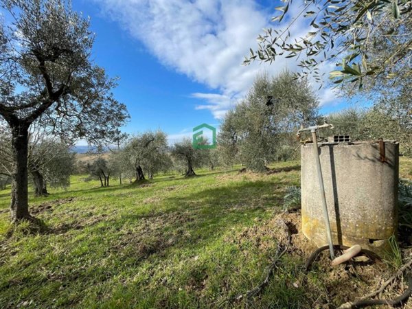 terreno agricolo in vendita ad Amelia