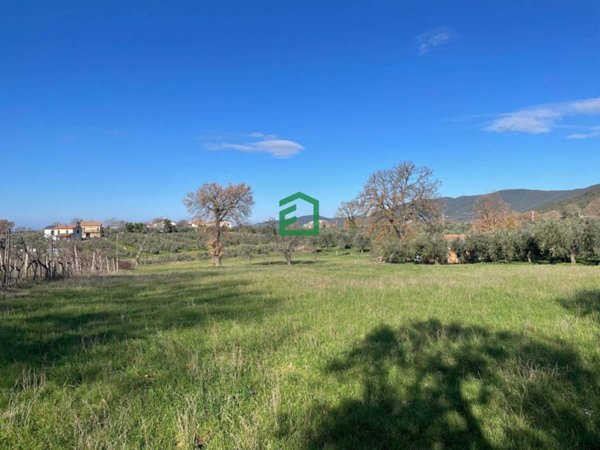 terreno agricolo in vendita ad Amelia
