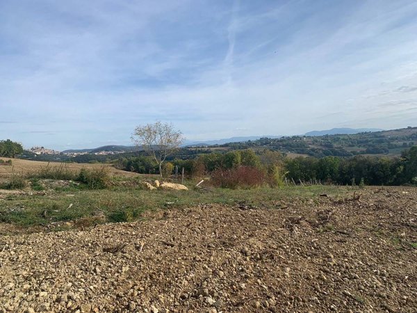 terreno agricolo in vendita ad Amelia