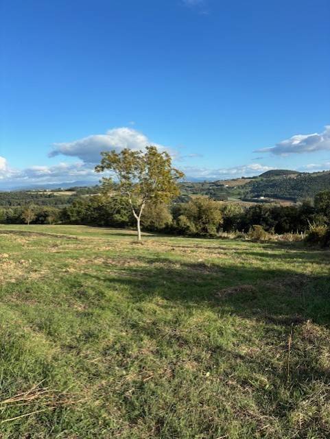 terreno agricolo in vendita ad Amelia