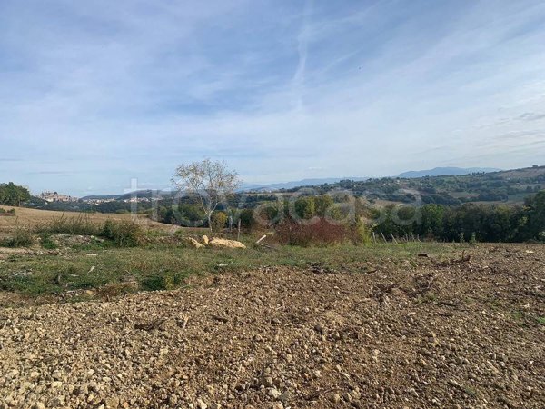 terreno agricolo in vendita ad Amelia