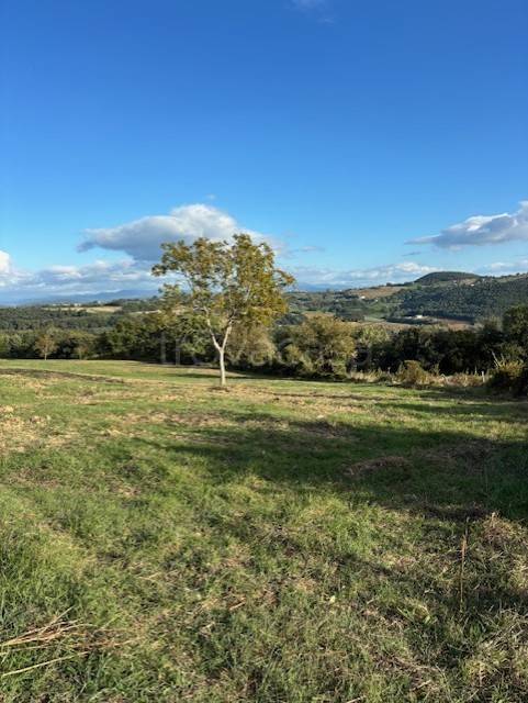terreno agricolo in vendita ad Amelia