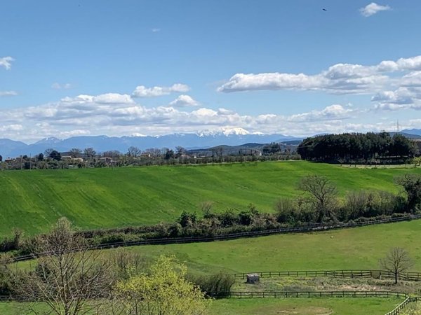 azienda agricola in vendita ad Amelia