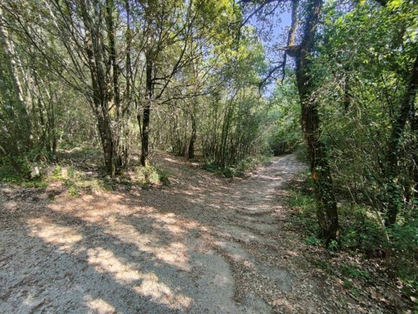 terreno agricolo in vendita ad Amelia