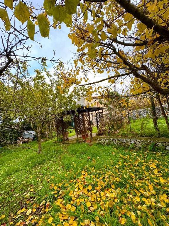 casa indipendente in vendita ad Amelia