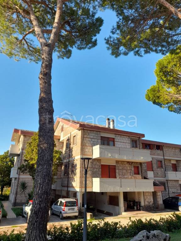 appartamento in vendita ad Amelia