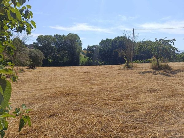 terreno agricolo in vendita ad Amelia