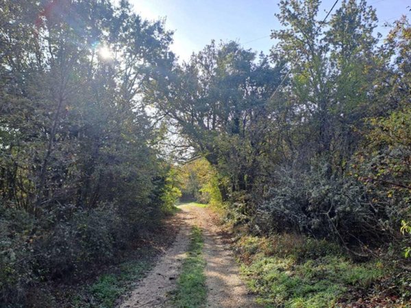 terreno agricolo in vendita ad Amelia