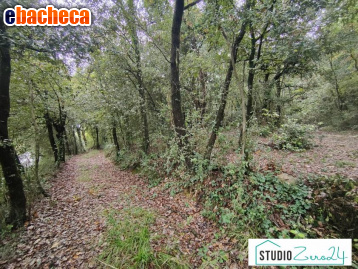 terreno agricolo in vendita ad Amelia