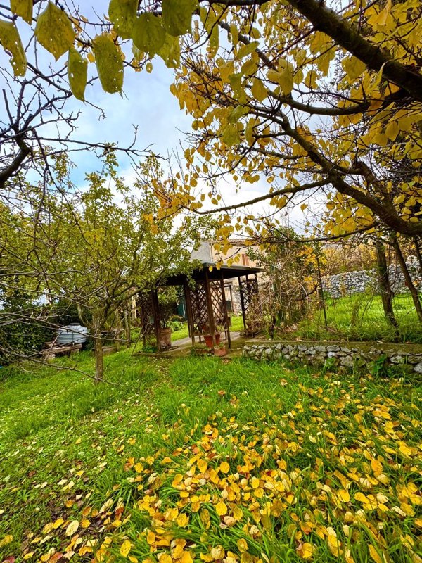 casa indipendente in vendita ad Amelia