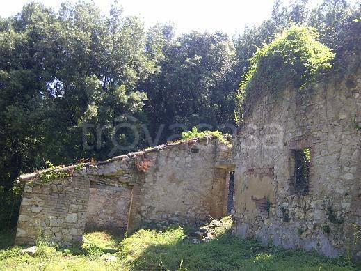 casa indipendente in vendita ad Amelia