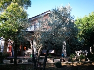 casa indipendente in vendita ad Amelia