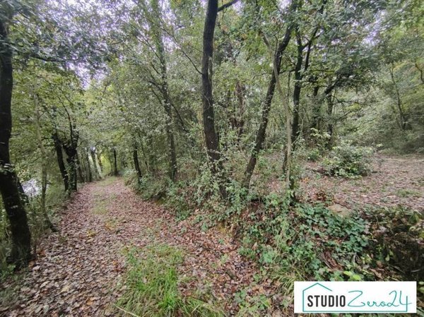 terreno agricolo in vendita ad Amelia