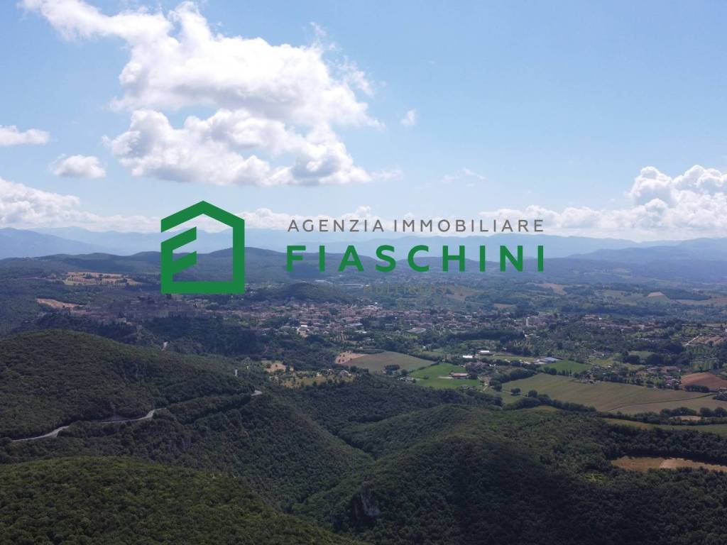 terreno agricolo in vendita ad Amelia