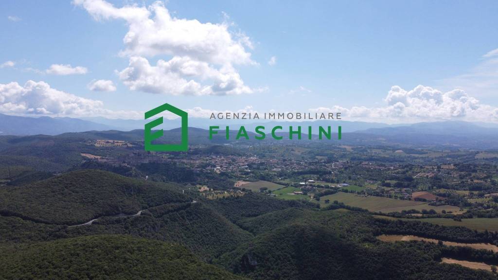 terreno agricolo in vendita ad Amelia