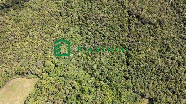 terreno agricolo in vendita ad Amelia