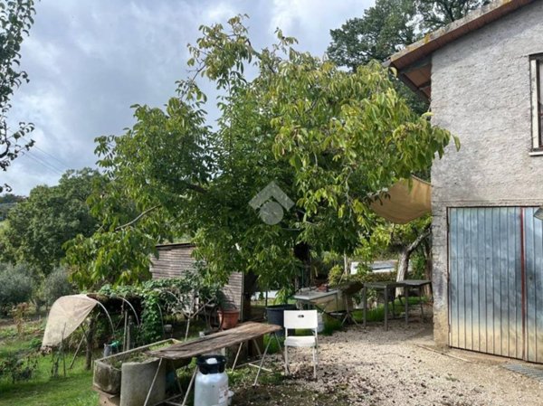 terreno agricolo in vendita ad Amelia
