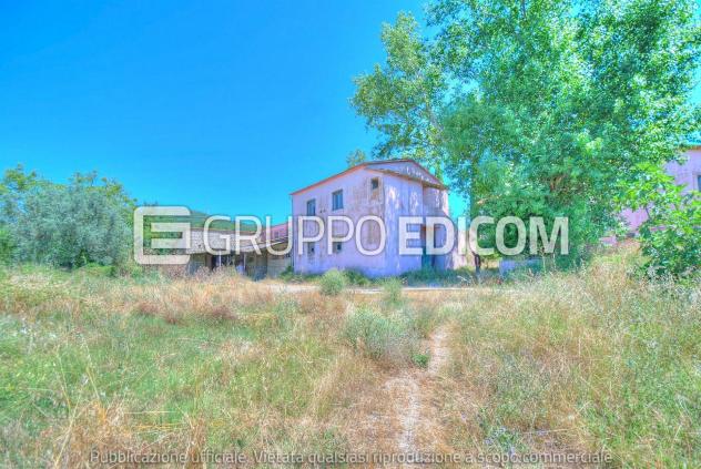 negozio in vendita ad Amelia