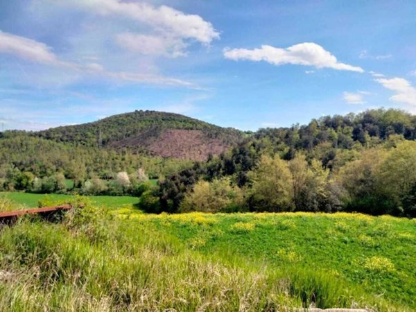 terreno agricolo in vendita ad Amelia