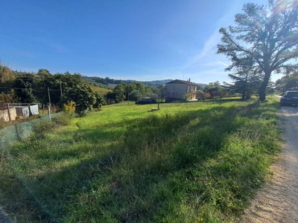 terreno agricolo in vendita ad Amelia