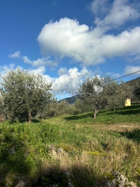 terreno agricolo in vendita ad Amelia