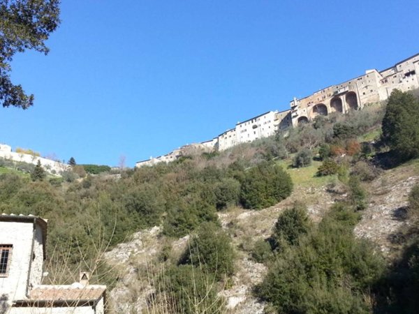 terreno agricolo in vendita ad Amelia