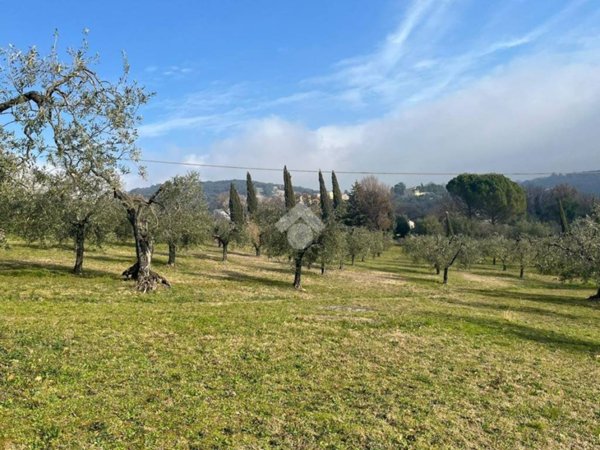 terreno agricolo in vendita ad Amelia