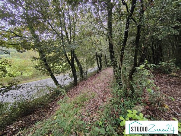 terreno agricolo in vendita ad Amelia