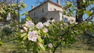 casa indipendente in vendita ad Amelia