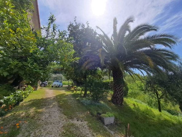 casa indipendente in vendita ad Amelia