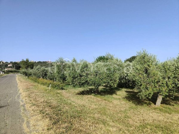 terreno agricolo in vendita ad Amelia