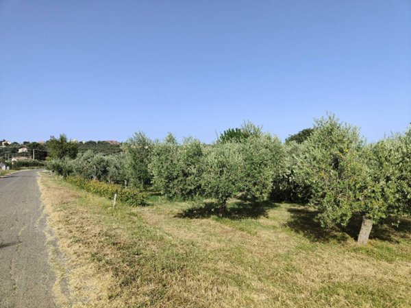 terreno agricolo in vendita ad Amelia
