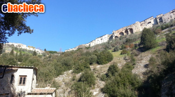 terreno agricolo in vendita ad Amelia