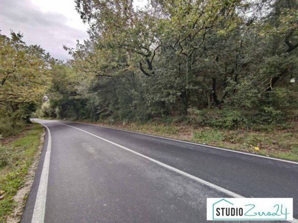 terreno agricolo in vendita ad Amelia