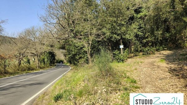 terreno agricolo in vendita ad Amelia