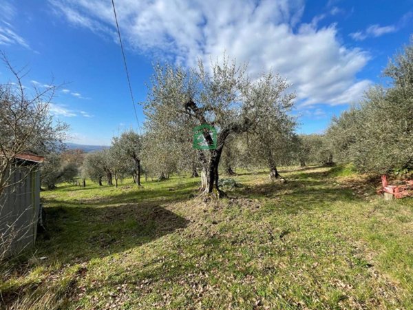 terreno agricolo in vendita ad Amelia