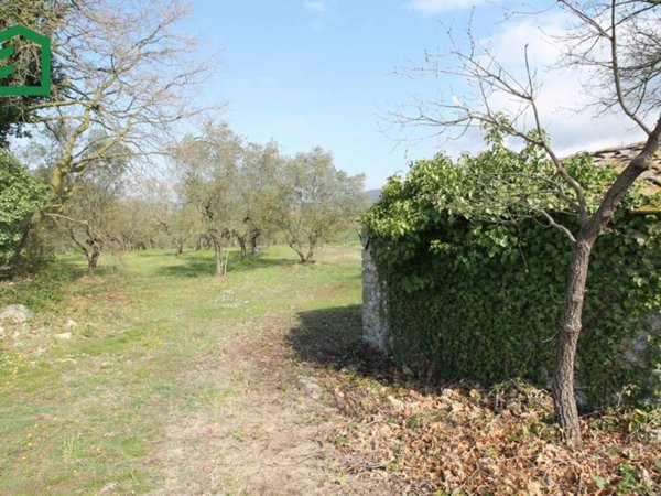 locale di sgombero in vendita ad Amelia
