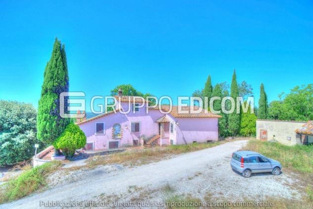 negozio in vendita ad Amelia