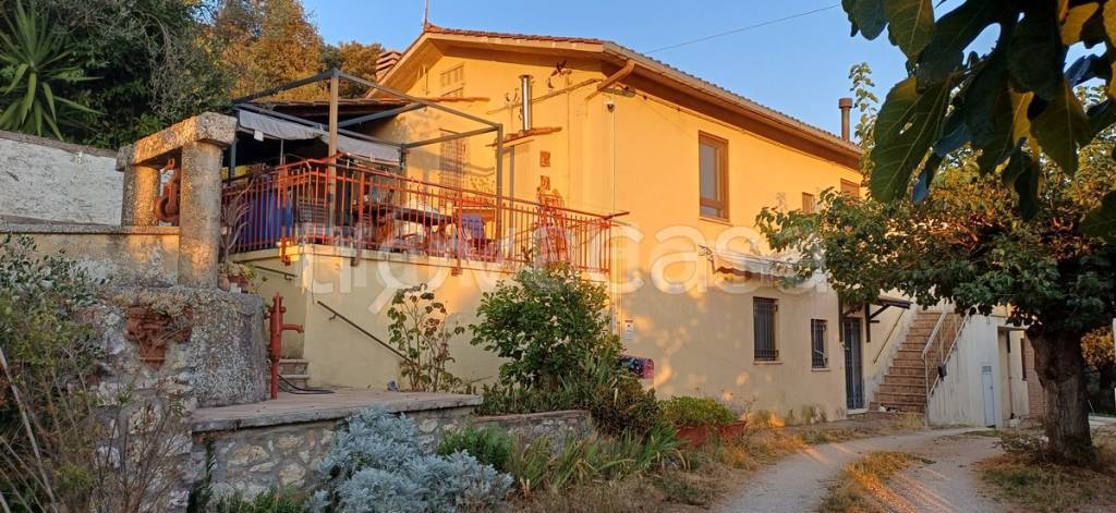 casa indipendente in vendita ad Amelia