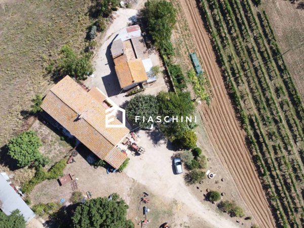 casa indipendente in vendita ad Amelia