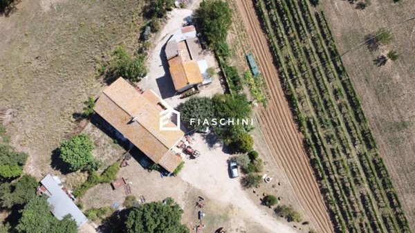 casa indipendente in vendita ad Amelia