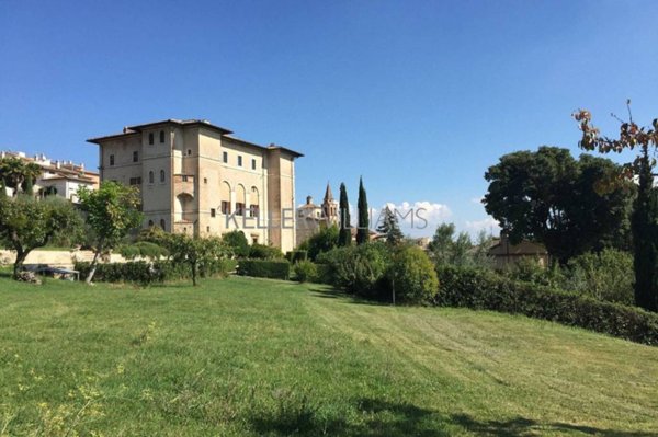 negozio in vendita ad Amelia